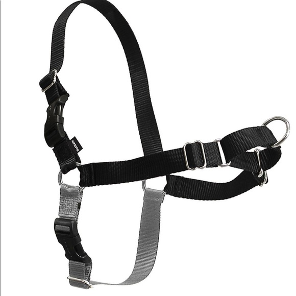 PetSmart Small Easy Walk Harness - Picture 2 of 2